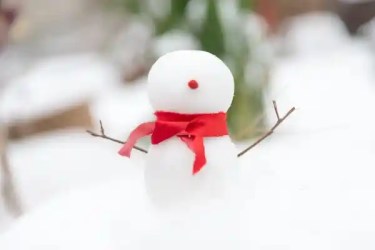 Holiday Tips for Children with Autism