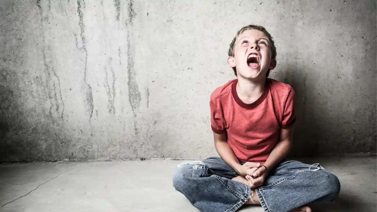 child-tantrum-e1771883307711 Autism meltdowns are challenging behaviors often displayed by children with autism.