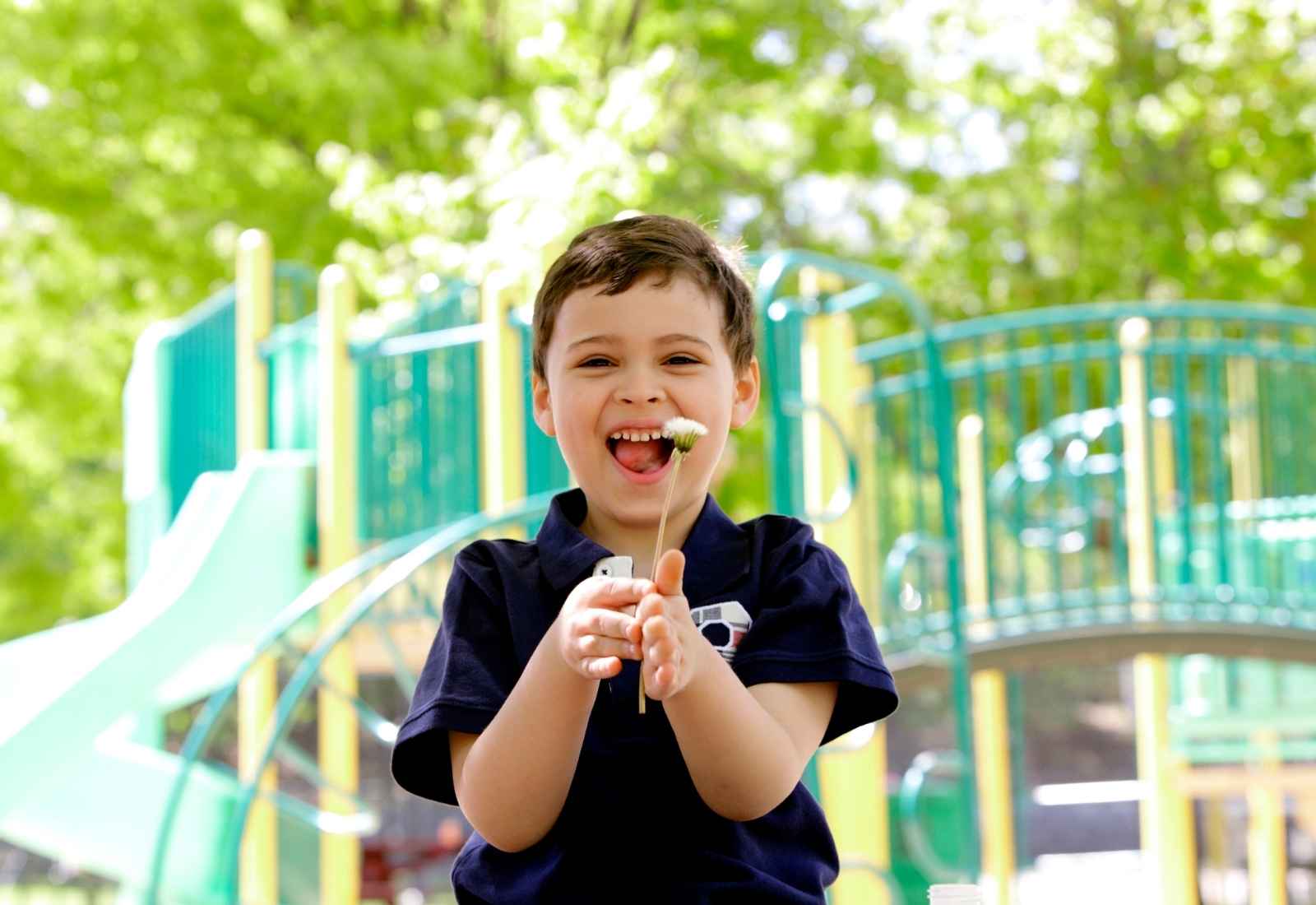 A joyful young boy laughs while holding a dandelion at a sunny playground, with green trees and colorful play equipment in the background.